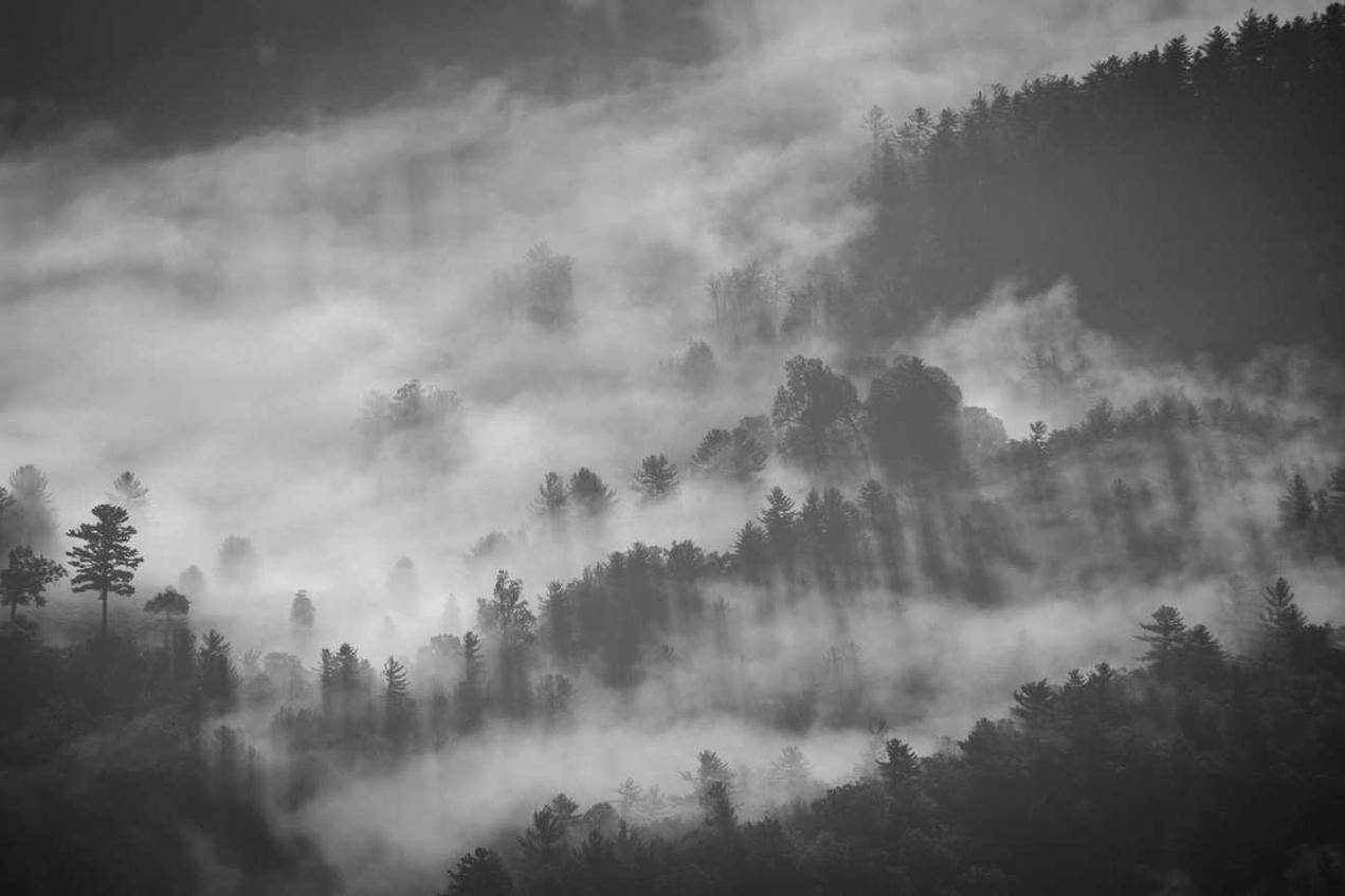 Autem qui fugiat minus ipsam